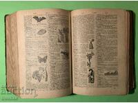 Cartea veche DICTIONAR ENCICLOPEDIC ILUSTRAT 1908