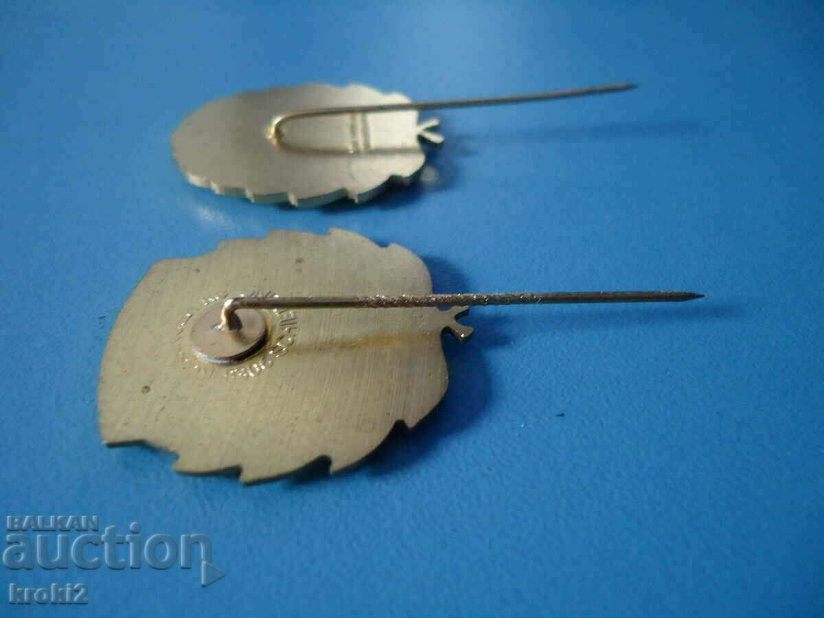 Two old badges - 7 Two old badges - 7