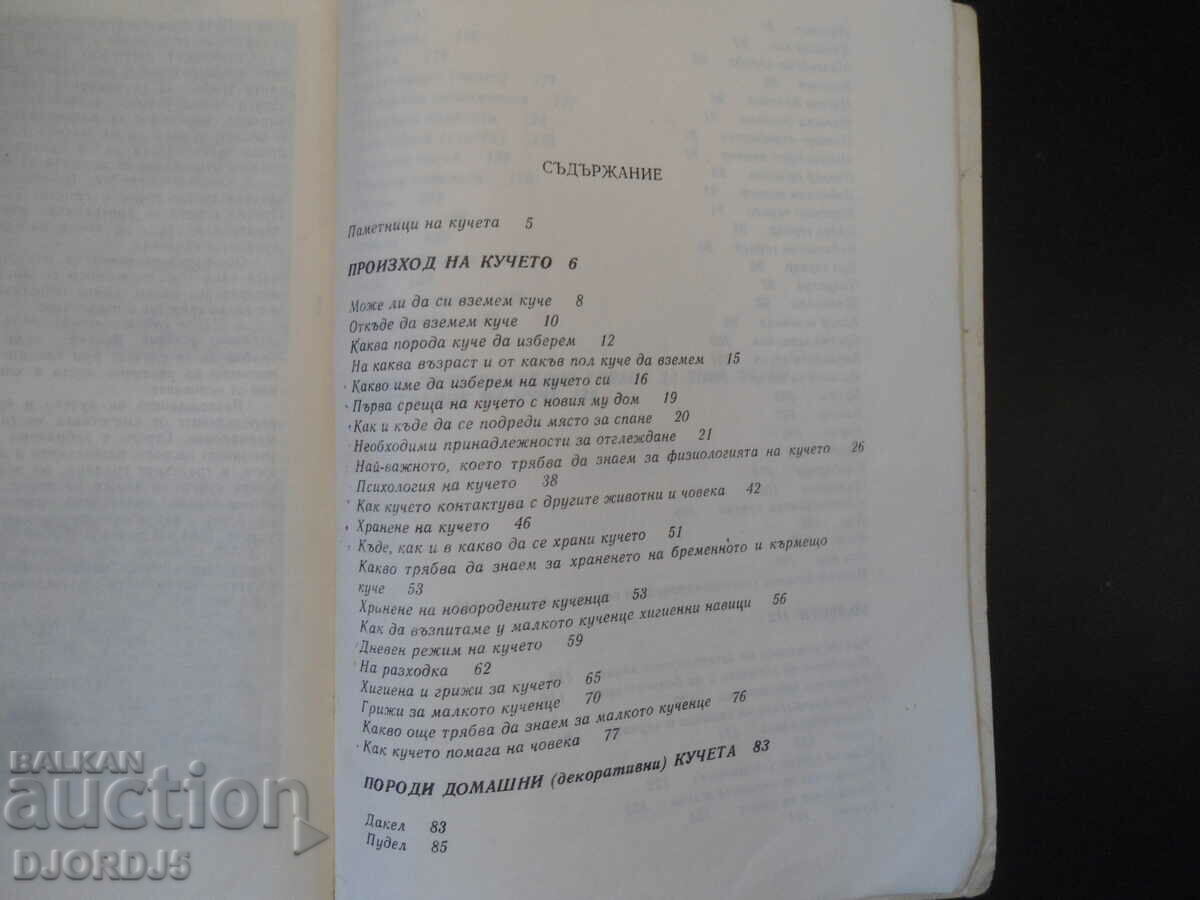 do you love your dog - 6 do you love your dog - 6