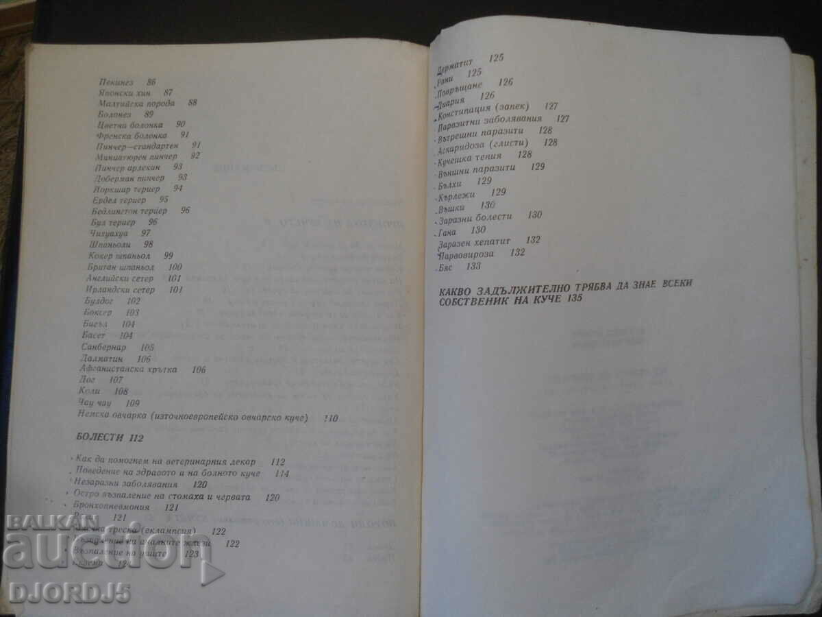 do you love your dog - 7 do you love your dog - 7