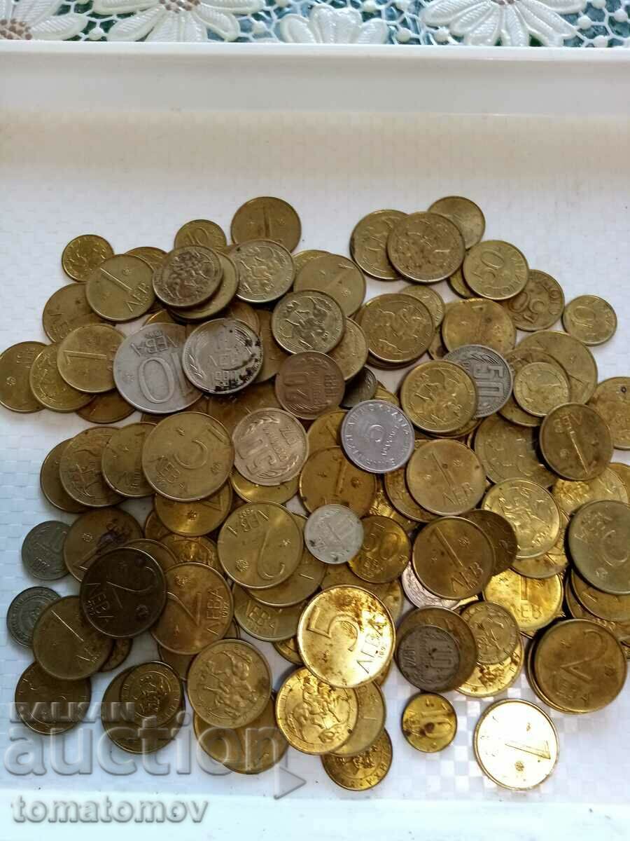 O mulțime mare de monede
