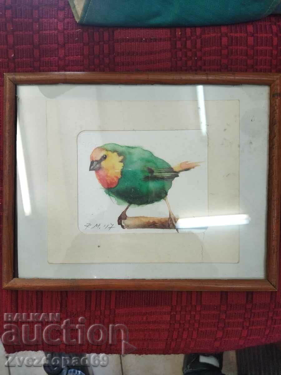 Watercolor animalism Bird