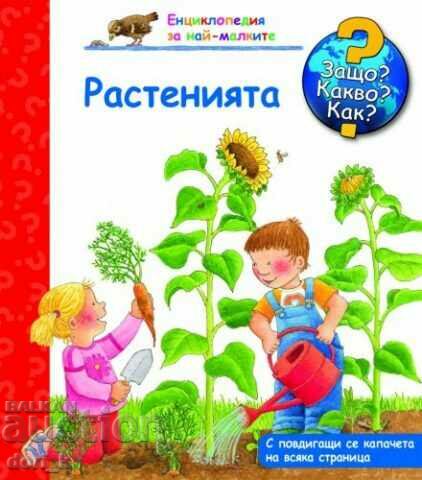 Enciclopedie pentru cei mai mici: Plante
