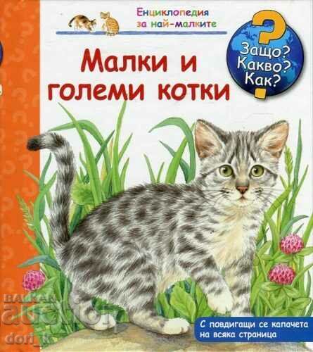 Encyclopedia for the little ones: Small and big cats