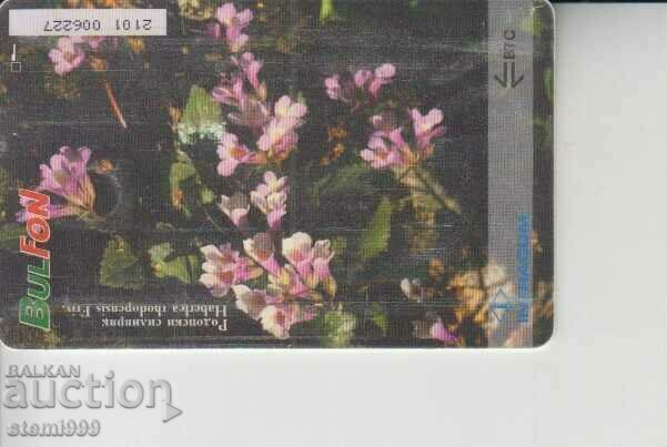 Sound card with price 0.40 BGN | € 0.20 Sound card with price 0.40 BGN | € 0.20