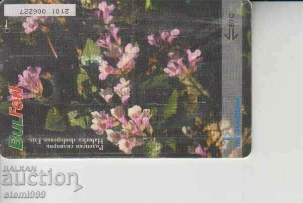 Sound card with price 0.40 BGN | € 0.20 Sound card with price 0.40 BGN | € 0.20