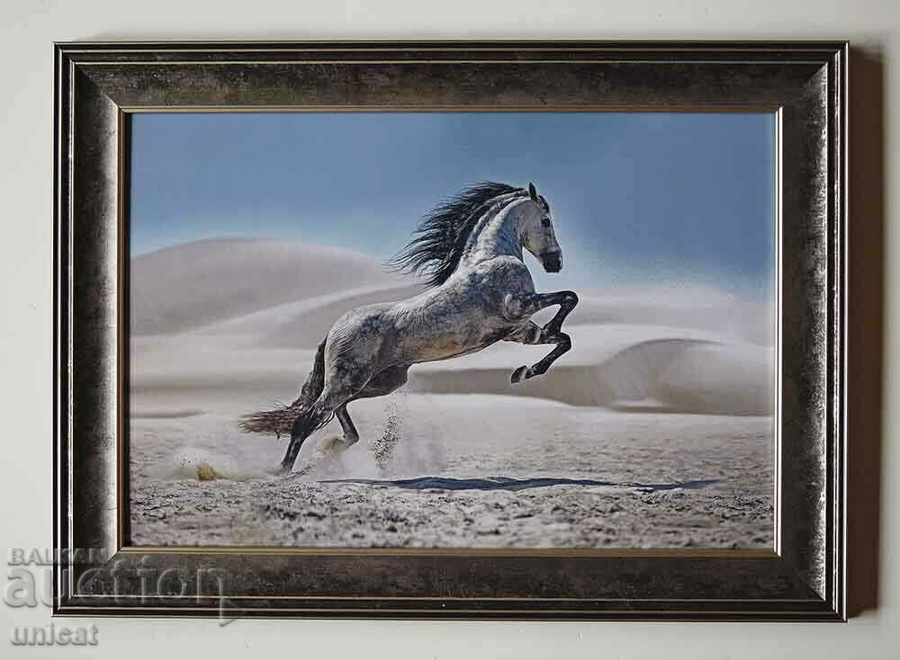 Horse, Abyssinian stallion, painting
