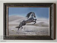 Άλογο, Αβησσυνιανός επιβήτορας, ζωγραφική
