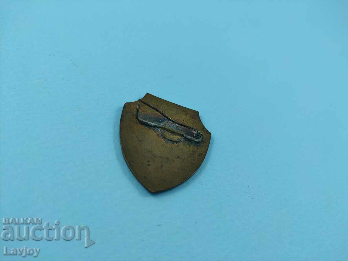 Delivery of Trooper enamel badge Delivery of Trooper enamel badge