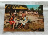 SUNNY BEACH PICNIC 1970 P.K.