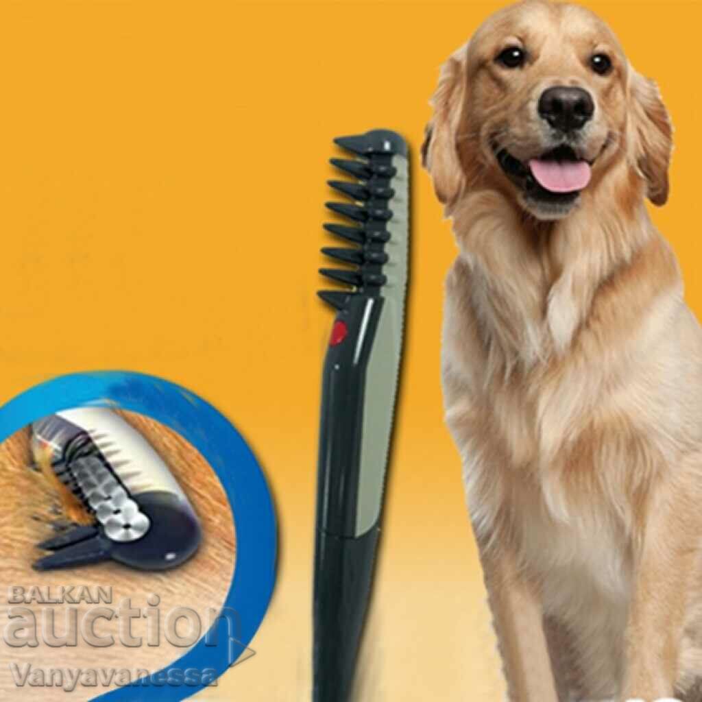 Auction Electric detangling pet comb, Zola® Auction Electric detangling pet comb, Zola®