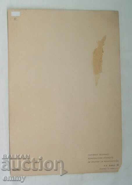 Drawing Germany - reproduction, print with price 10.00 BGN | € 5.11