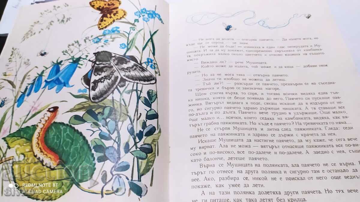 Livrarea Povești despre mișc și alte insecte de pădure, ilustrații