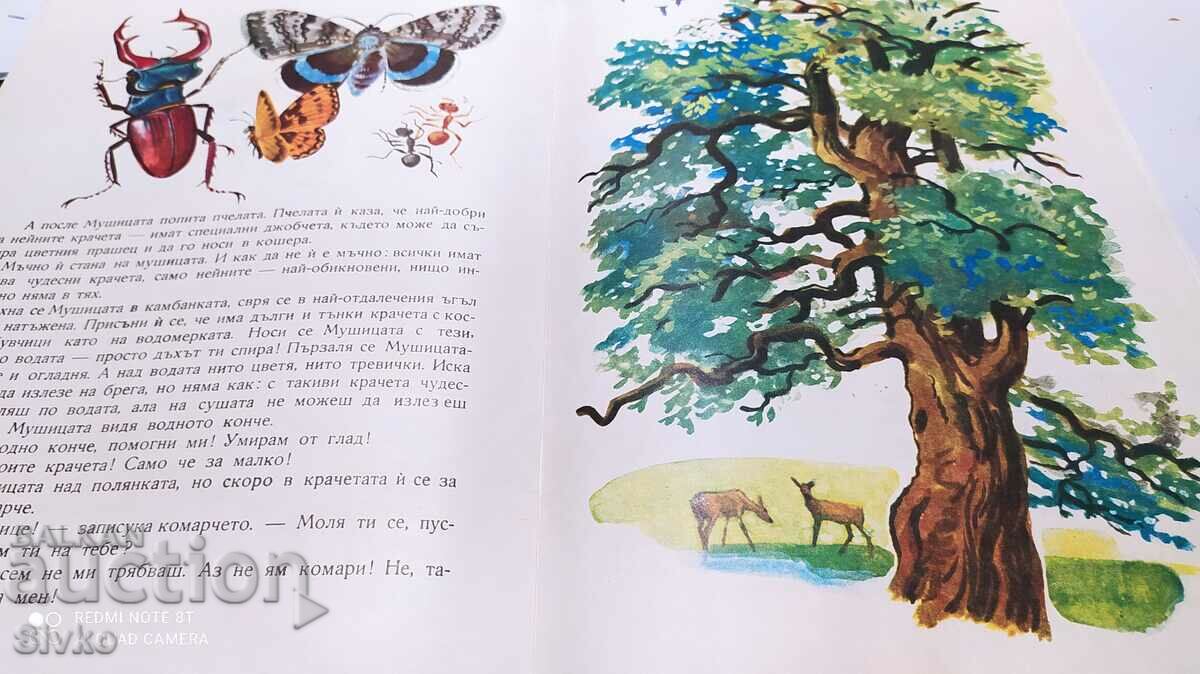 Povești despre mișc și alte insecte de pădure, ilustrații - 6