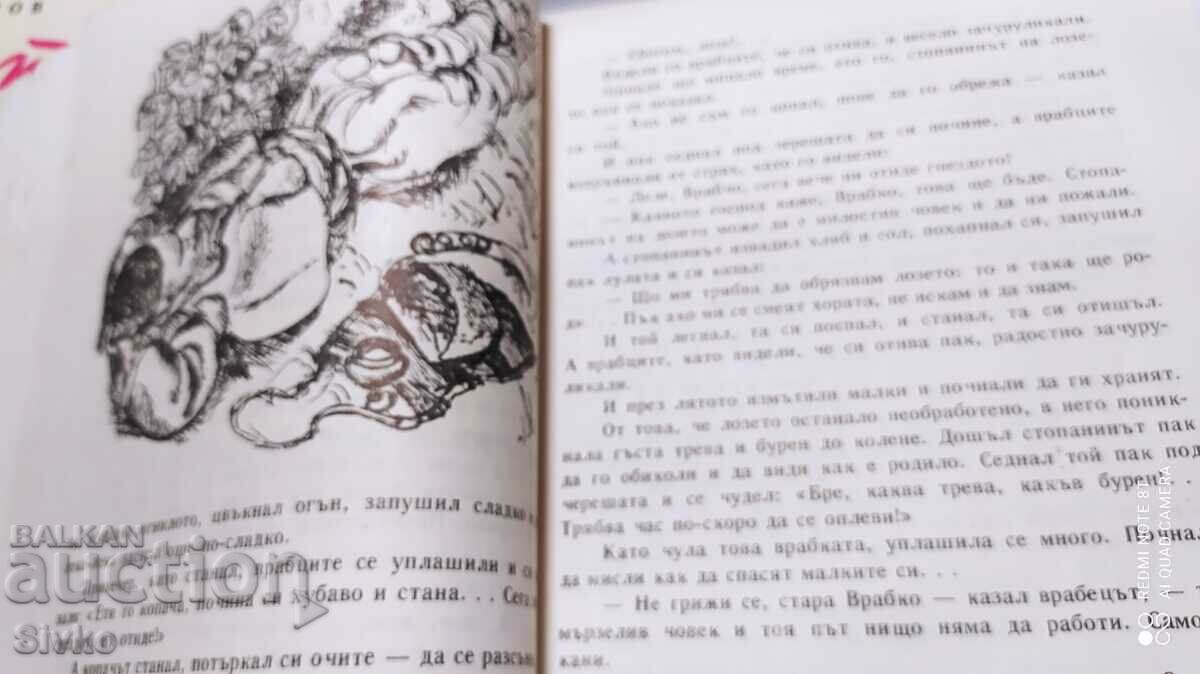 Three Smart Heads, Elin Pelin, illustrations - 6 Three Smart Heads, Elin Pelin, illustrations - 6