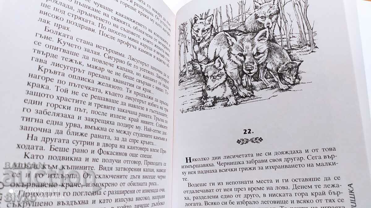 Chernishka, Emilian Stanev, illustrations - 6 Chernishka, Emilian Stanev, illustrations - 6