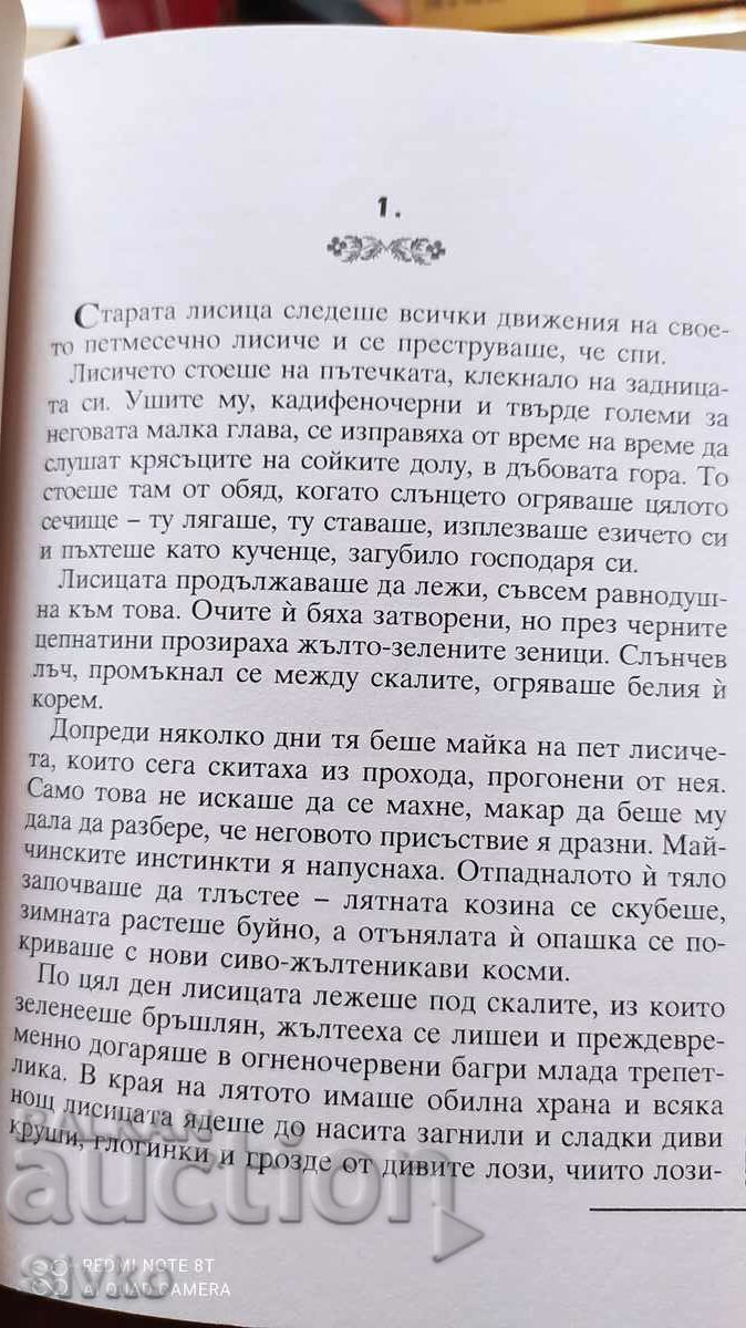 Chernishka, Emilian Stanev, illustrations - 7 Chernishka, Emilian Stanev, illustrations - 7