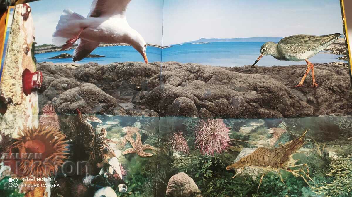 The Endless Ocean, Discovery, many pictures - 5