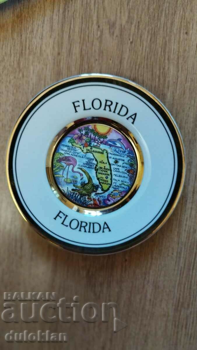 Frumoasă farfurie decorativă din Florida SUA