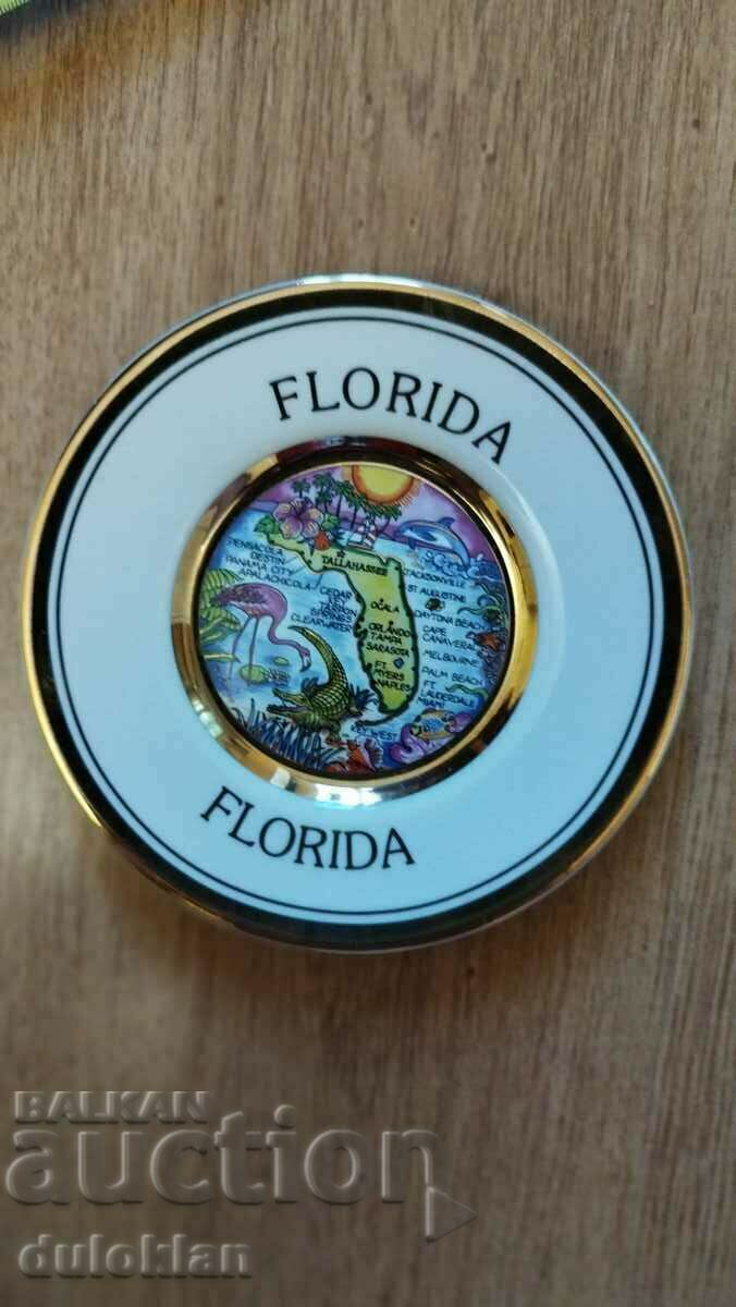 Beautiful decorative plate from Florida USA