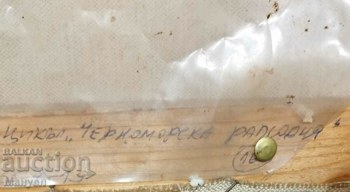 Delivery of Painting "Sozopol" by Petar Popov. Delivery of Painting "Sozopol" by Petar Popov.