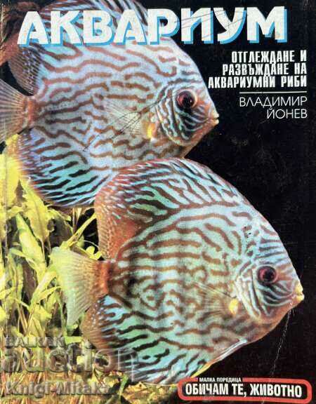 Aquarium - Breeding and breeding of aquarium fish - Vlad