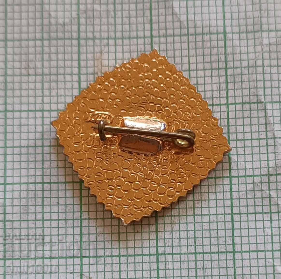 Delivery of Badge - USSR Construction Trade Union LMD