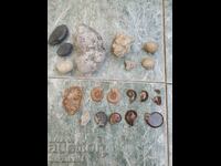 Πολλές παλιές πέτρες Απολιθώματα