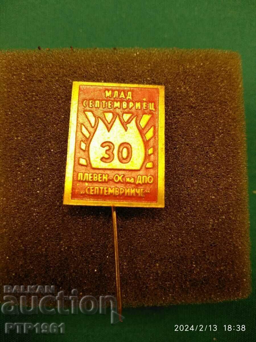 chavdarje/pioneer badge chavdarje/pioneer badge