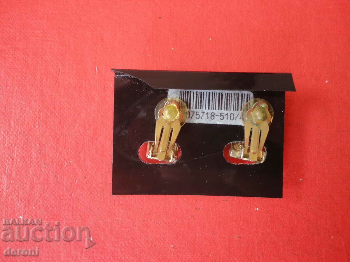 Delivery of Great earrings earrings Bijov Brigitte 16