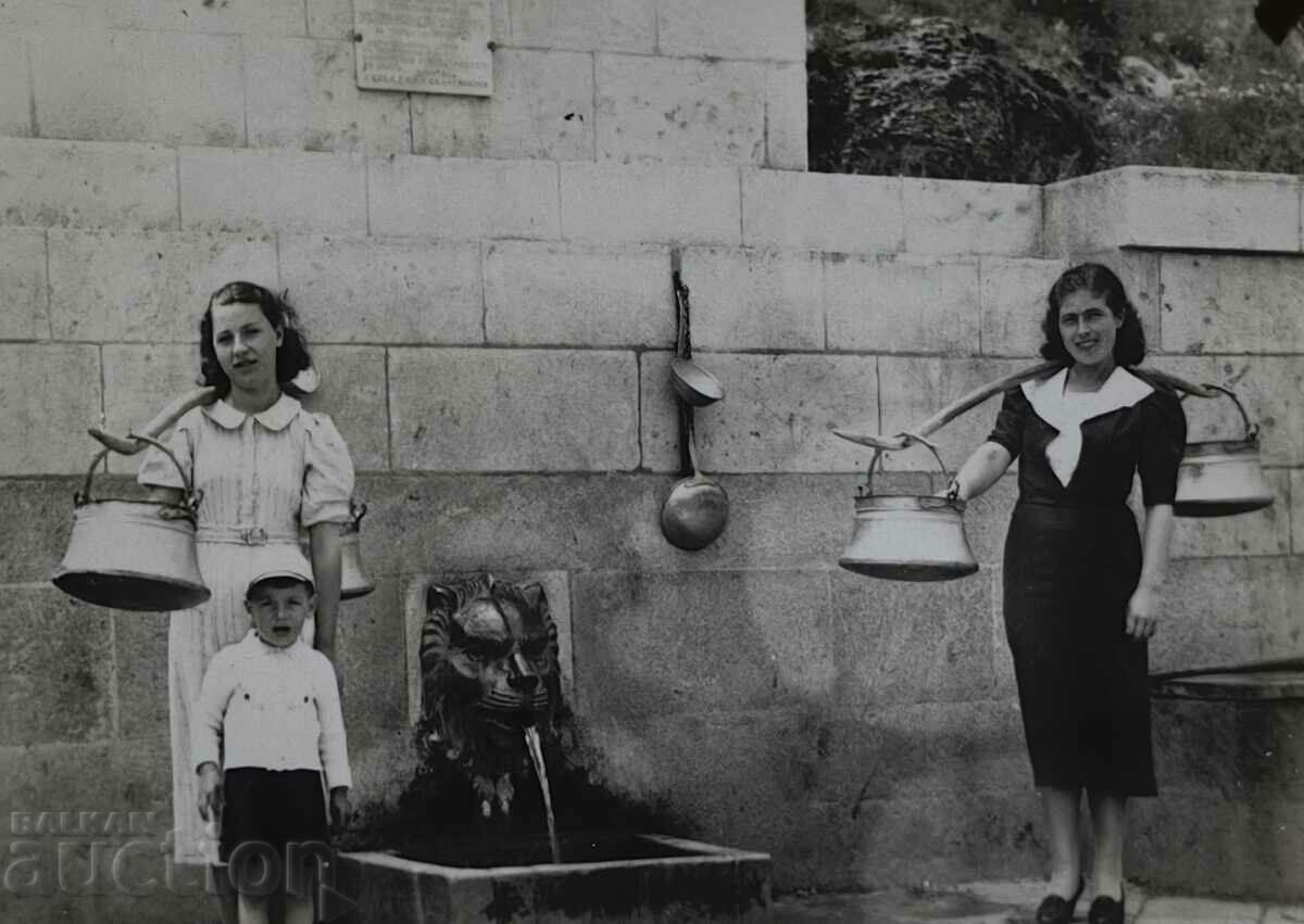 Delivery of CHESHMA MENZI KOBILITSA PHOTOGRAPHY KINGDOM OF BULGARIA Delivery of CHESHMA MENZI KOBILITSA PHOTOGRAPHY KINGDOM OF BULGARIA