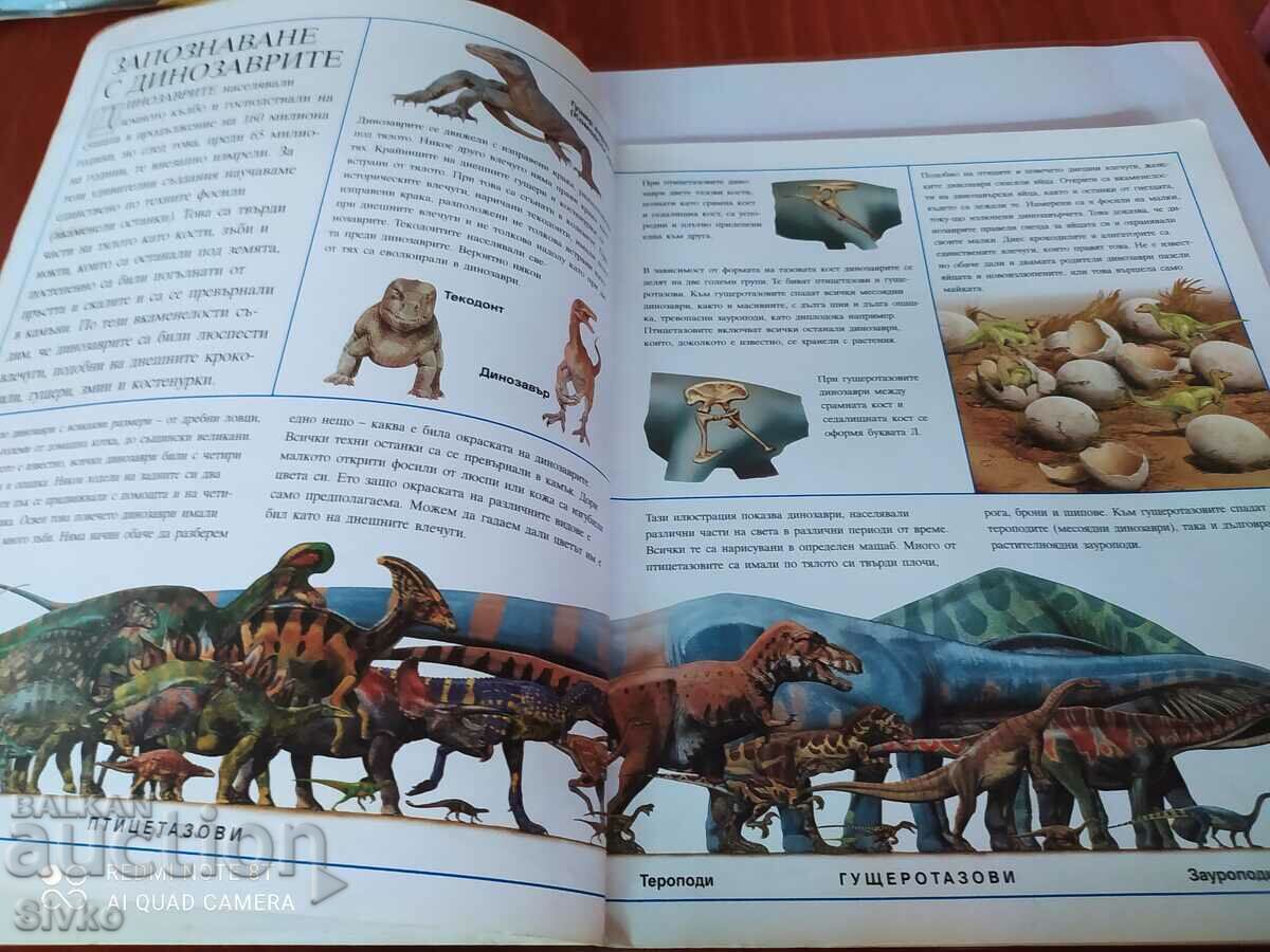 Licitație Dinozaurii Atlas