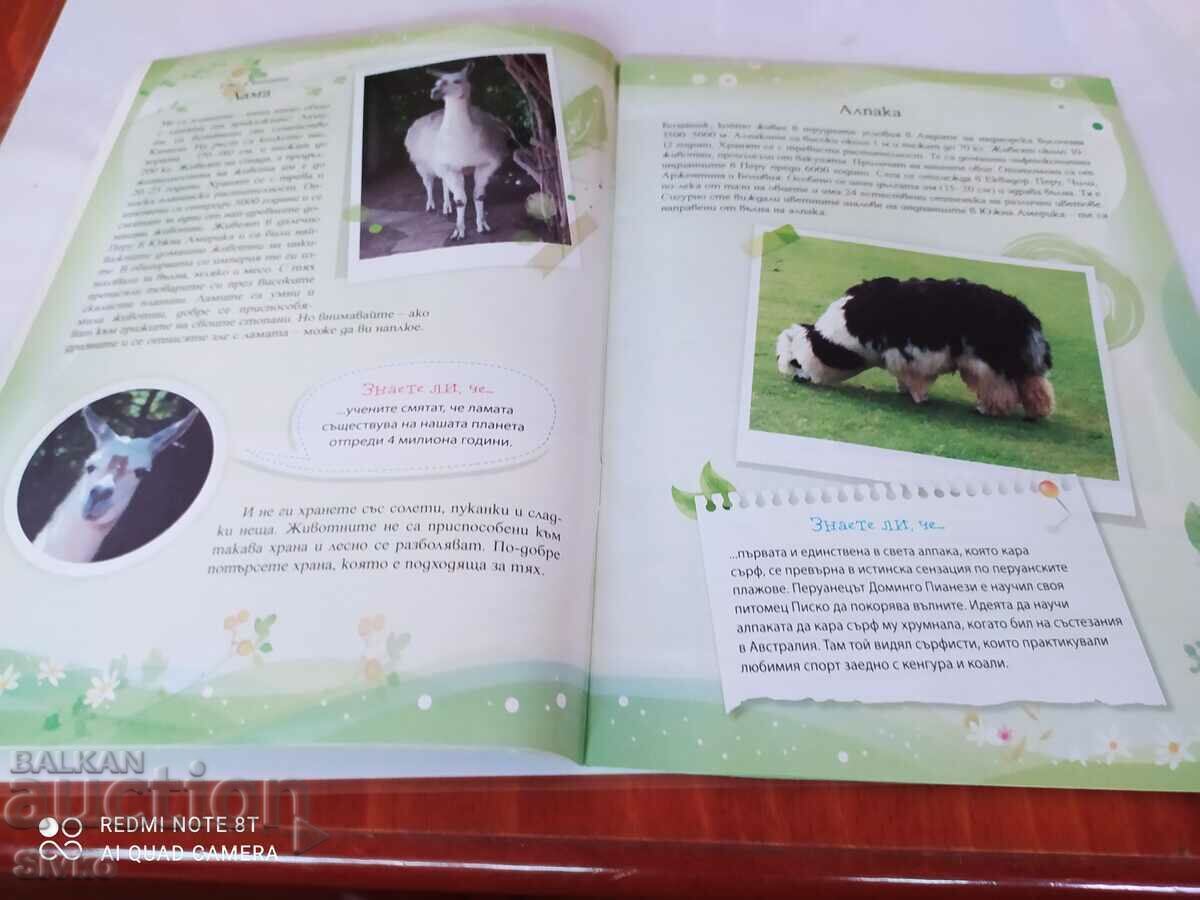 Licitație Ghid pentru Grădina Zoologică din Varna