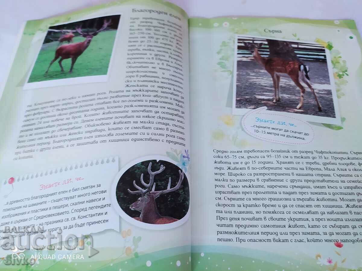 Ghid pentru Grădina Zoologică din Varna - 5