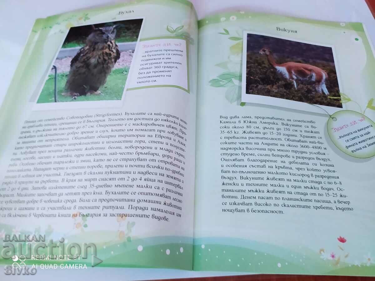 Ghid pentru Grădina Zoologică din Varna - 6