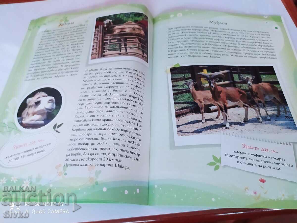 Ghid pentru Grădina Zoologică din Varna - 7