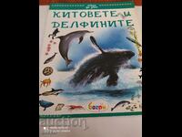 Περιοδικό Θέλω να ξέρω Φάλαινες και Δελφίνια