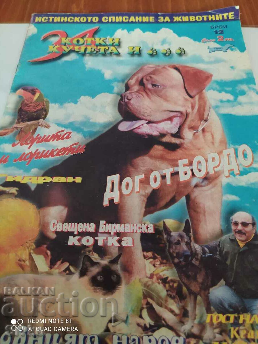 Cats and Dogs Magazine