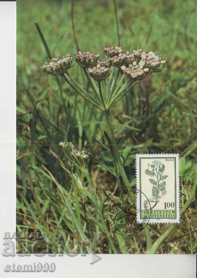 Καρτ ποστάλ Maximum FDC Plants Herbs