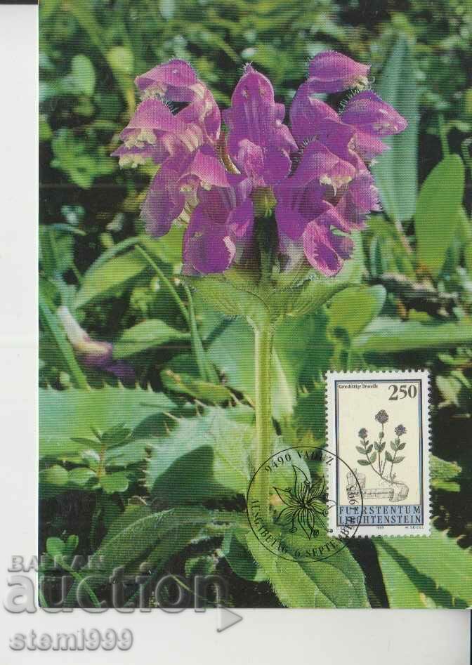 Καρτ ποστάλ Maximum FDC Plants Herbs
