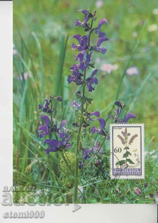 Postcard Maximum FDC Plants Herbs