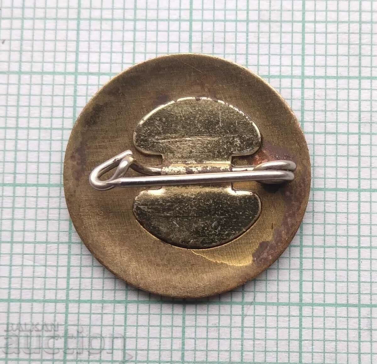 Auction  15782 Badge - KPPPPMYA Pleven - Eggs and birds