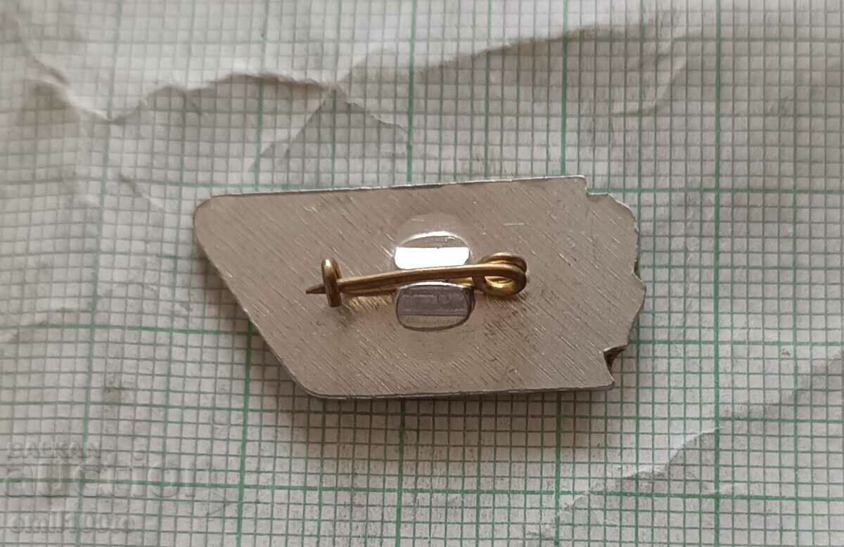 Livrarea Insigna - Martie pentru femei, 8 martie Livrarea Insigna - Martie pentru femei, 8 martie