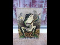 Metal plate music frog playing stringed instrument guitar