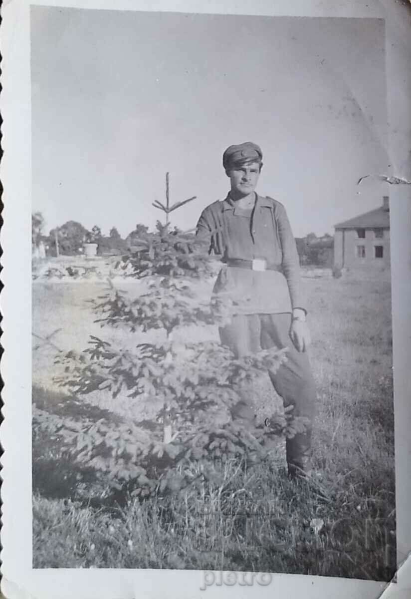 Bulgaria Fotografie veche a unui tânăr soldat pe câmp.