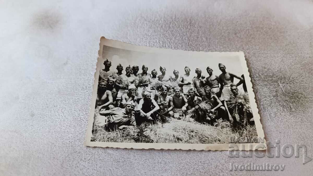 Снимка Войници и офицери голи до кръста в житна нива 1950