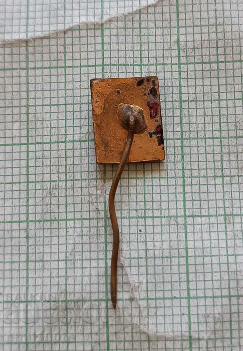 Delivery of Badge - Ferromagnets Pernik