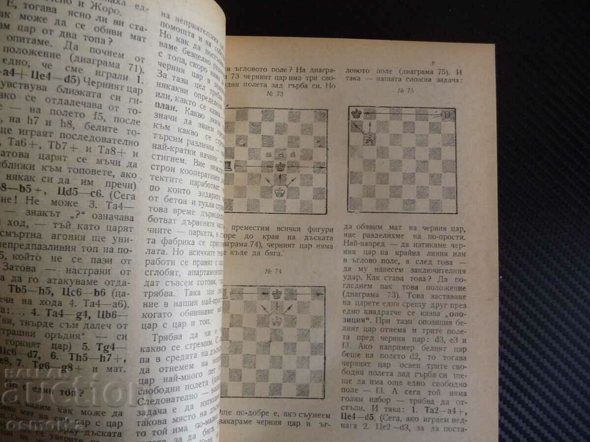 Πρωτοπόροι, παίξτε σκάκι Veselin Popov mat king άλογο βασίλισσας με τιμή 15.00 BGN | € 7.67 Πρωτοπόροι, παίξτε σκάκι Veselin Popov mat king άλογο βασίλισσας με τιμή 15.00 BGN | € 7.67