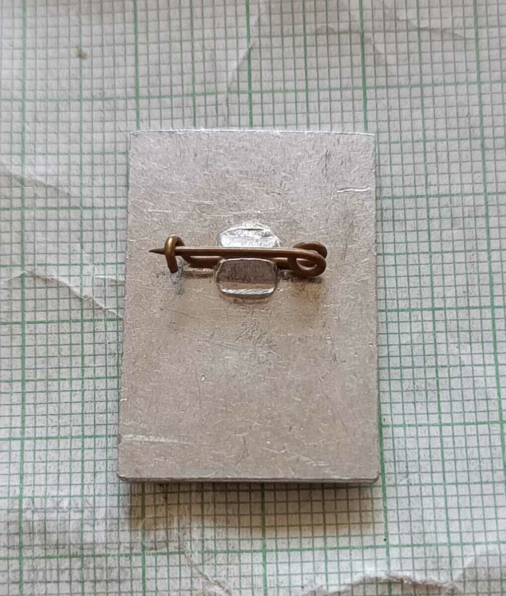 Badge - First place in the VIII Five-year MLP CCPS competition - 5 Badge - First place in the VIII Five-year MLP CCPS competition - 5