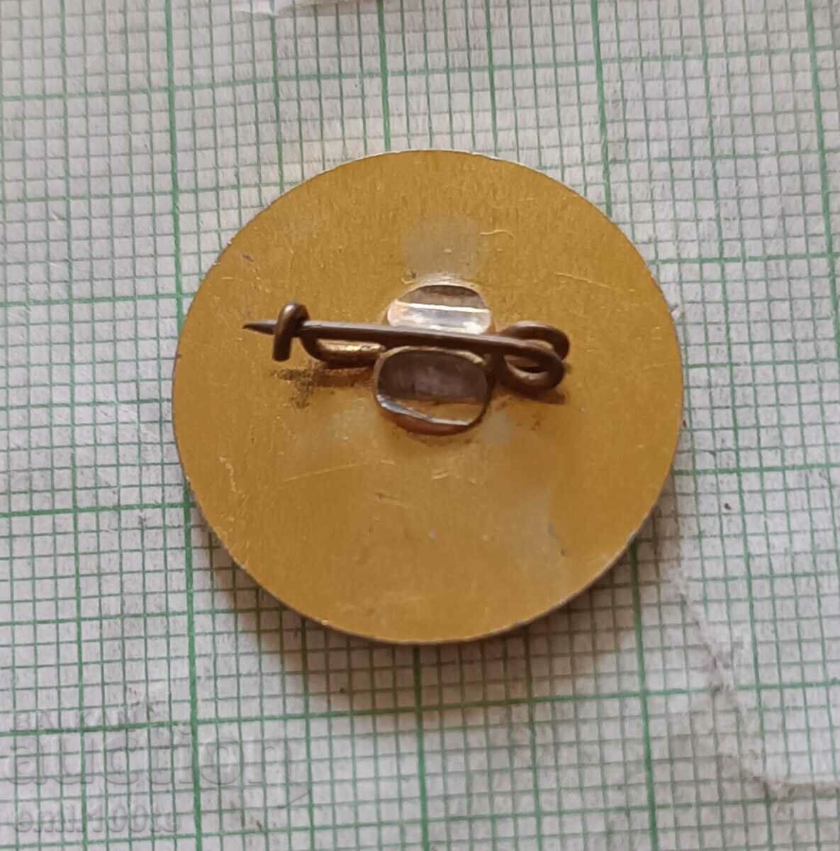 Delivery of Badge - Yastrebino National Pioneer Complex Delivery of Badge - Yastrebino National Pioneer Complex